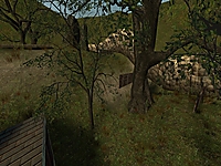 map image 02
