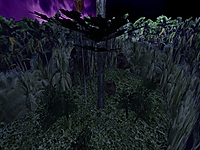 map image 03